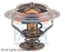 Coolant Thermostat 7.8370S