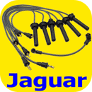 Spark Plug Ignition Wire Set Jaguar XJS XJ6 XJ40 88-94-11093