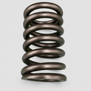 Single valve spring detail on light gray background