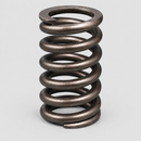 Single valve spring detail on light gray background