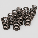 Twelve valve springs on light gray background