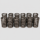 Twelve valve springs on light gray background