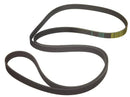 Serpentine Belt ML